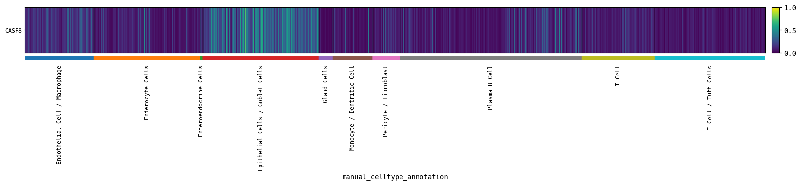 _images/Cell_Example_21_0.png