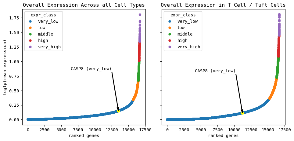 _images/Cell_Example_8_0.png