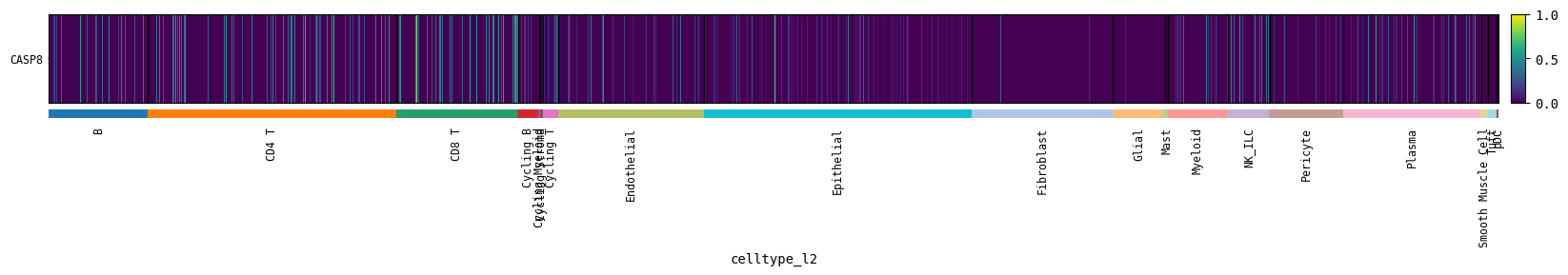 _images/Cell_Example_21_0.png