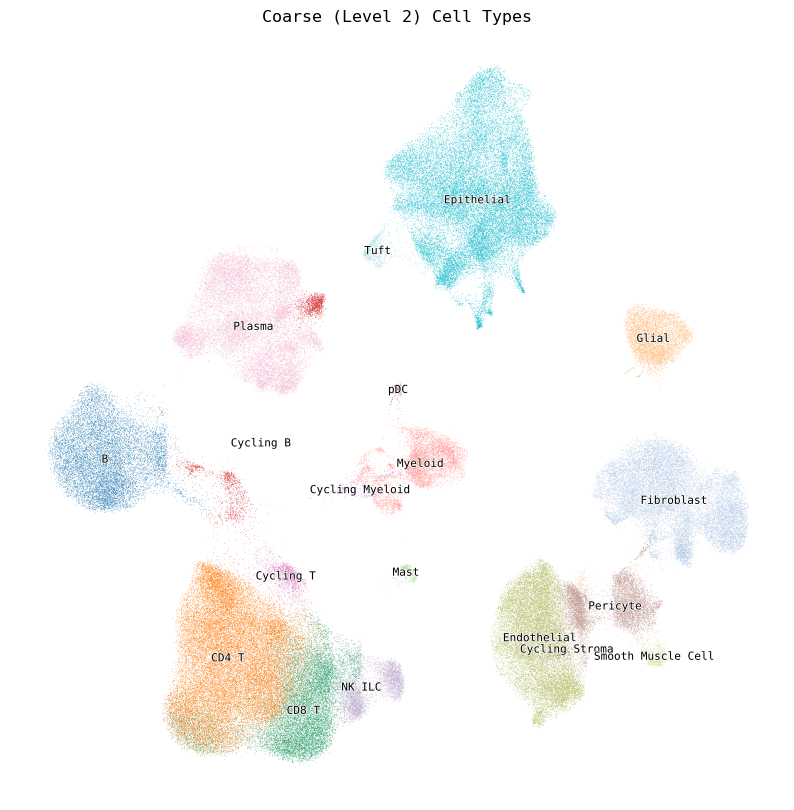 _images/Cell_Example_5_0.png